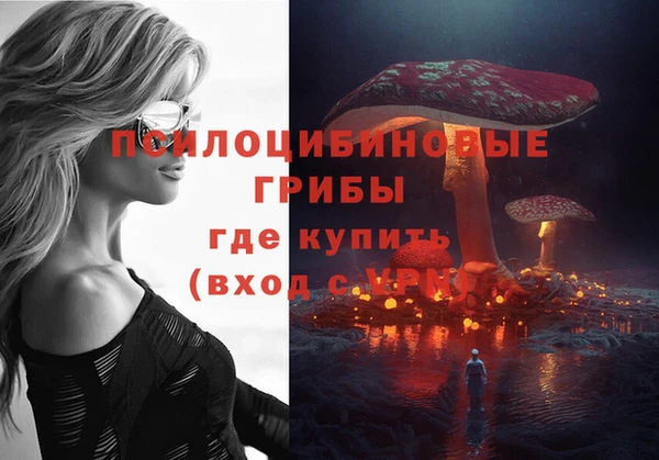 спиды Михайловск