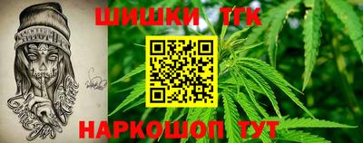 СК Краснознаменск