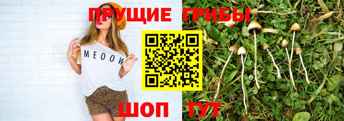 Псилоцибиновые грибы Cubensis Нижневартовск