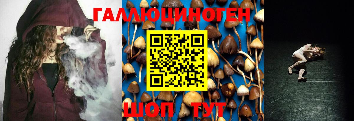 Псилоцибиновые грибы Psilocybine cubensis Нижневартовск